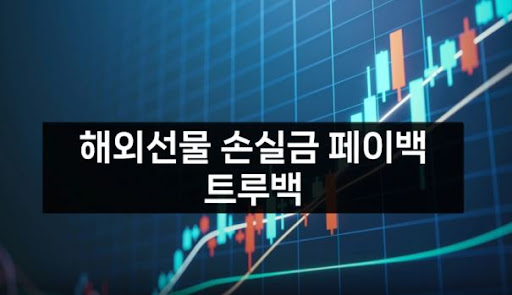 트루백: 해외선물미니업체에서의 안전한 자산 운용 전문가