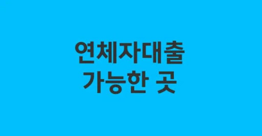 연체자대출 신청 시 유의사항