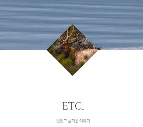 태상의 미니샵이 프리라이프를 추구하는 이들에게 필요한 이유